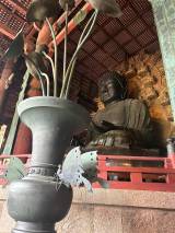 Nara Walking Tour: Sacred Deer, the Great Buddha and Naramachi Mochi
