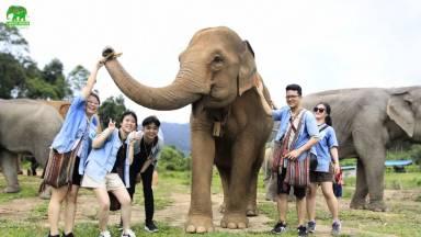 Chiang Mai: Thai Cooking Class & Ethical Elephant Sanctuary Day Trip