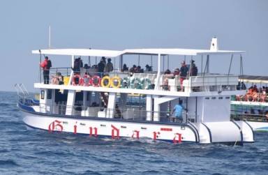 Mirissa Whale and Dolphin Watching Boat Trip with Breakfast