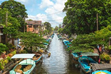 Negombo Lagoon and Mangrove Boat Excursion with Dutch Canal and Fish Market