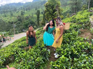 Nuwara Eliya Tea Country Day Trip from Colombo with High Tea