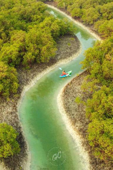 Abu Dhabi Reem Central Park Guided Kayak Tour