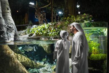 Dubai Aquarium and Underwater Zoo Entry Ticket
