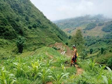 Tả Van to Su Pan Guided Trek with Local Guide in Sapa
