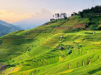 Trekking to Y Linh Ho, Lao Chai and Ta Van Villages in Sapa