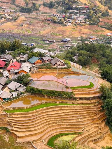 Sapa 1-Day Trekking Tour: Rice Terraces and Villages (Sapa)