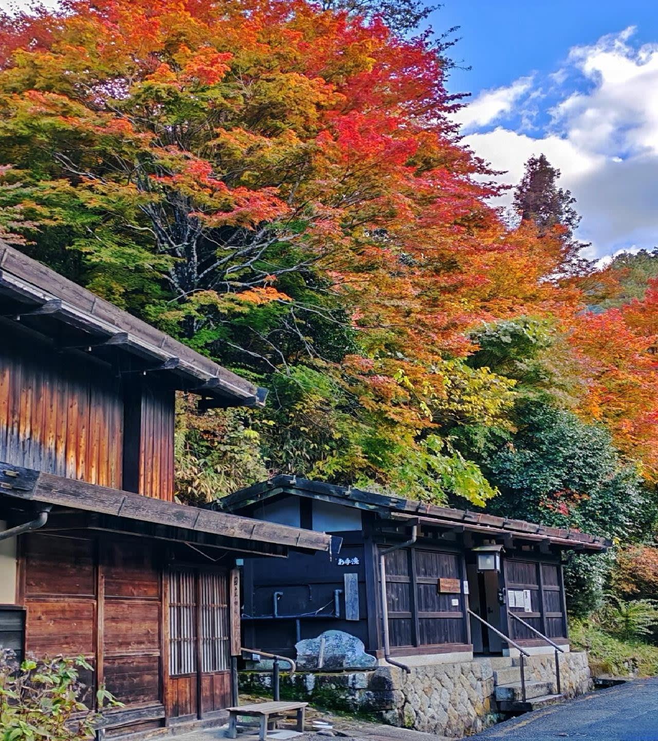 3-Day Nakasendo Trail & Nagano Highlands Journey: Nagoya to Kawagoe 2