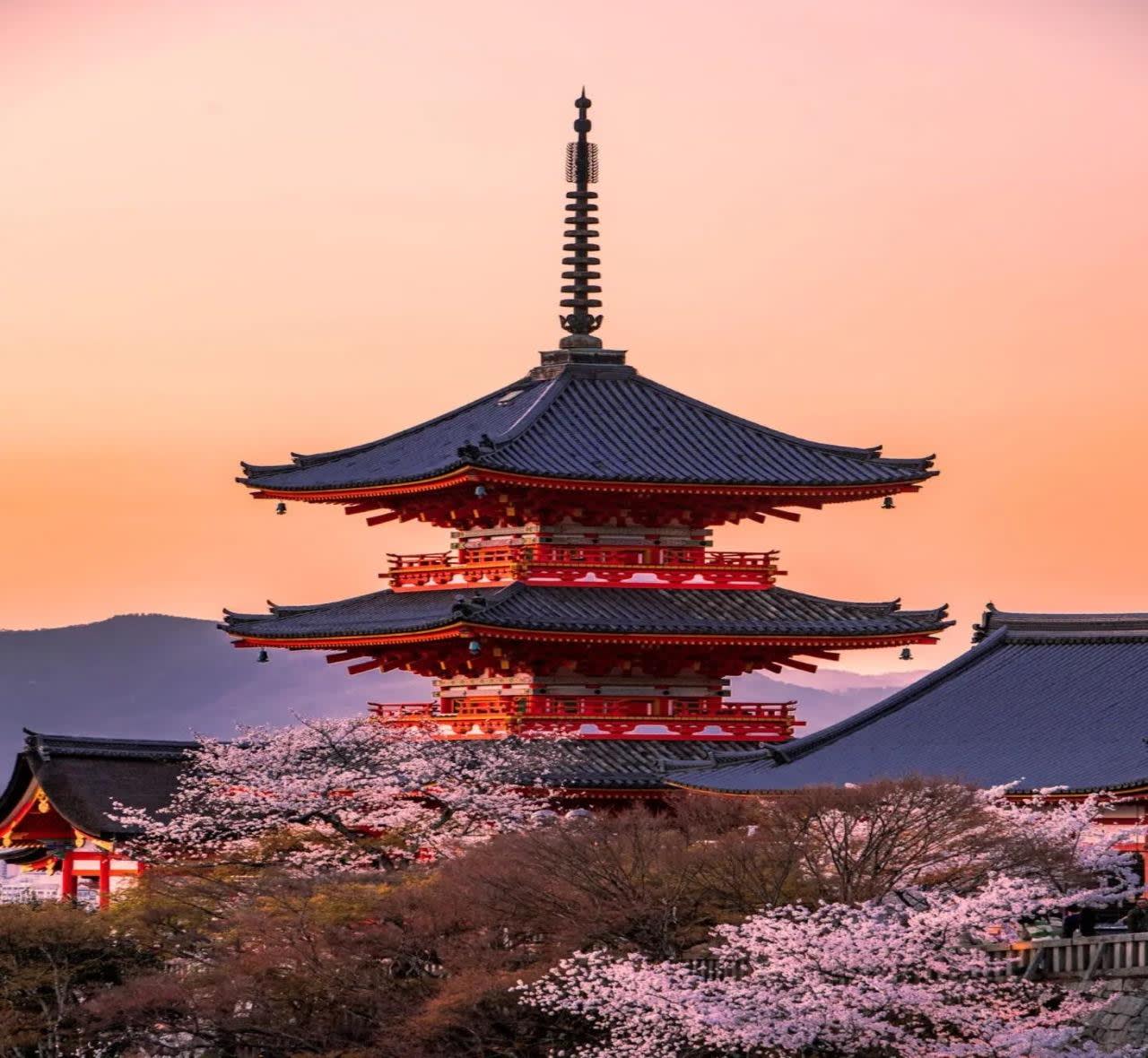 Kyoto Backstreets & Hidden Corners: Private Day Trip from Nagoya — guided tour in Nagoya