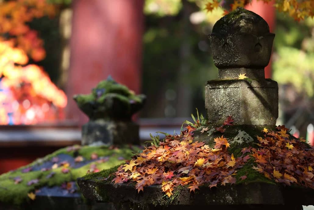 Mount Fuji Private Car Day Tour from Tokyo: Chureito Pagoda, Kawaguchiko and Oshino Hakkai 3