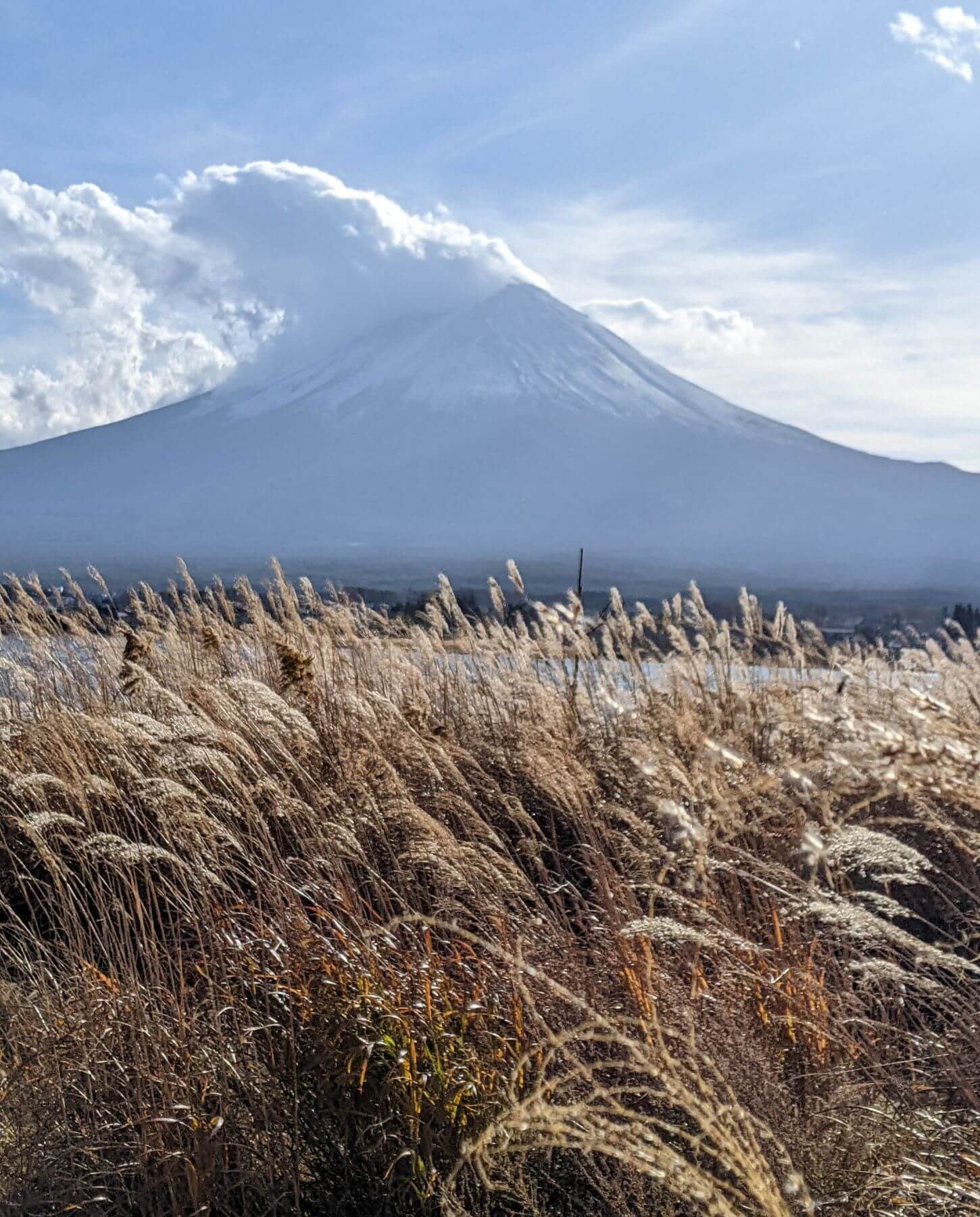 Mt. Fuji Private Day from Tokyo: Fifth Station, Lake Kawaguchiko and Chureito Pagoda 3