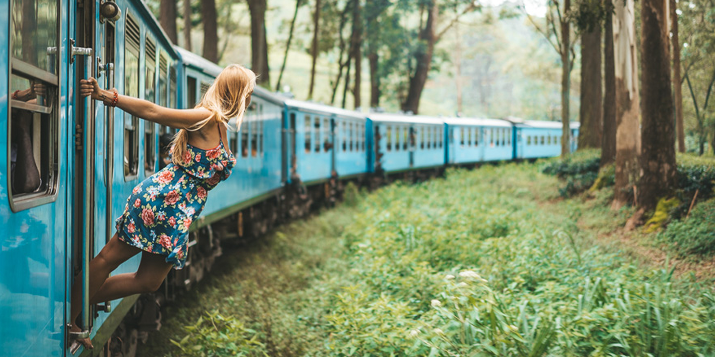 Ella and Haputale Private Day Trip with Hill Country Train Ride and Tea Factory — guided tour in Colombo
