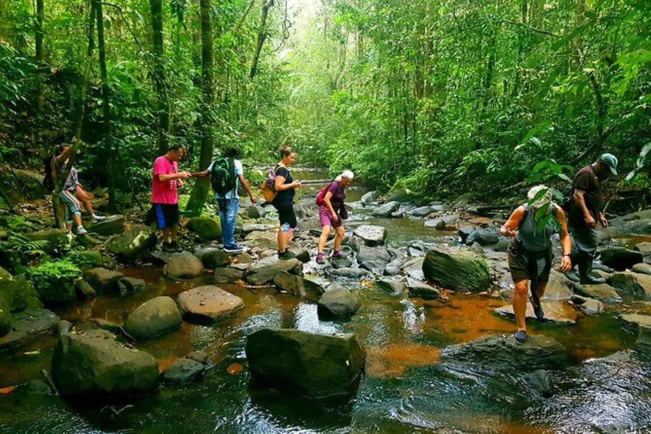 Sinharaja Rainforest Guided Trek and Waterfalls Day Trip — guided tour in Colombo