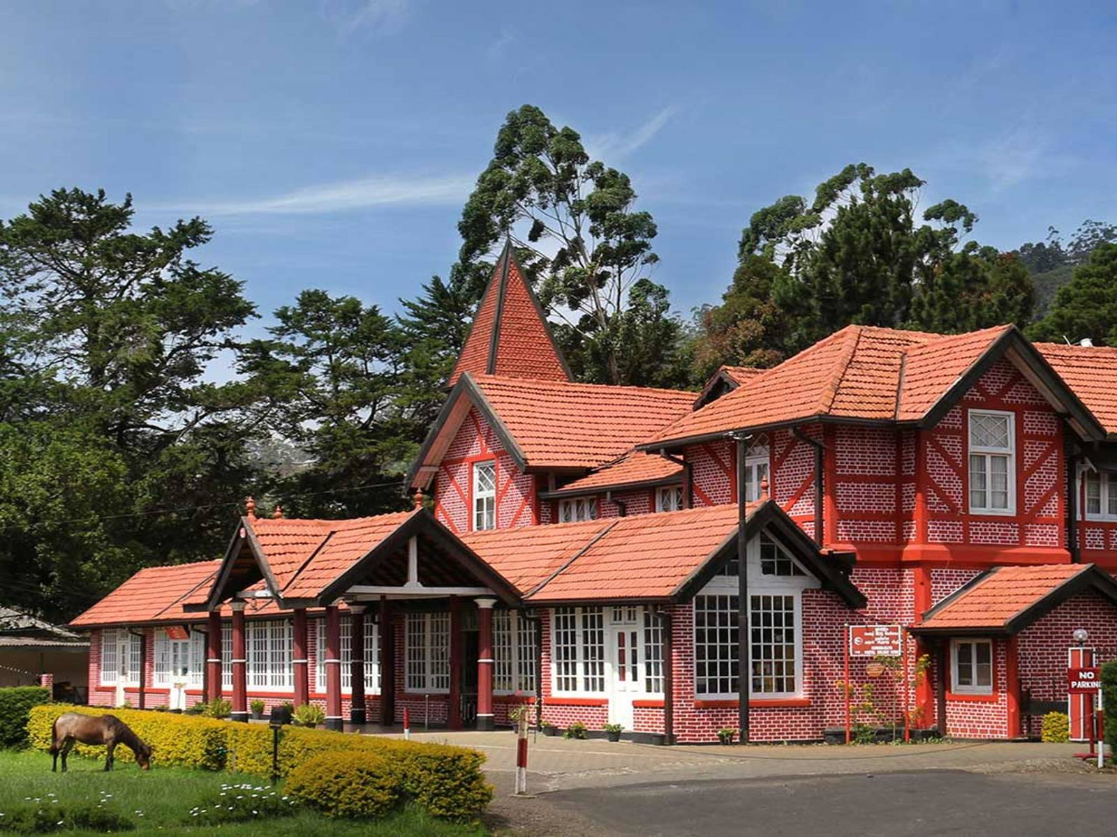Nuwara Eliya Tea Country Day Trip from Colombo with High Tea 2
