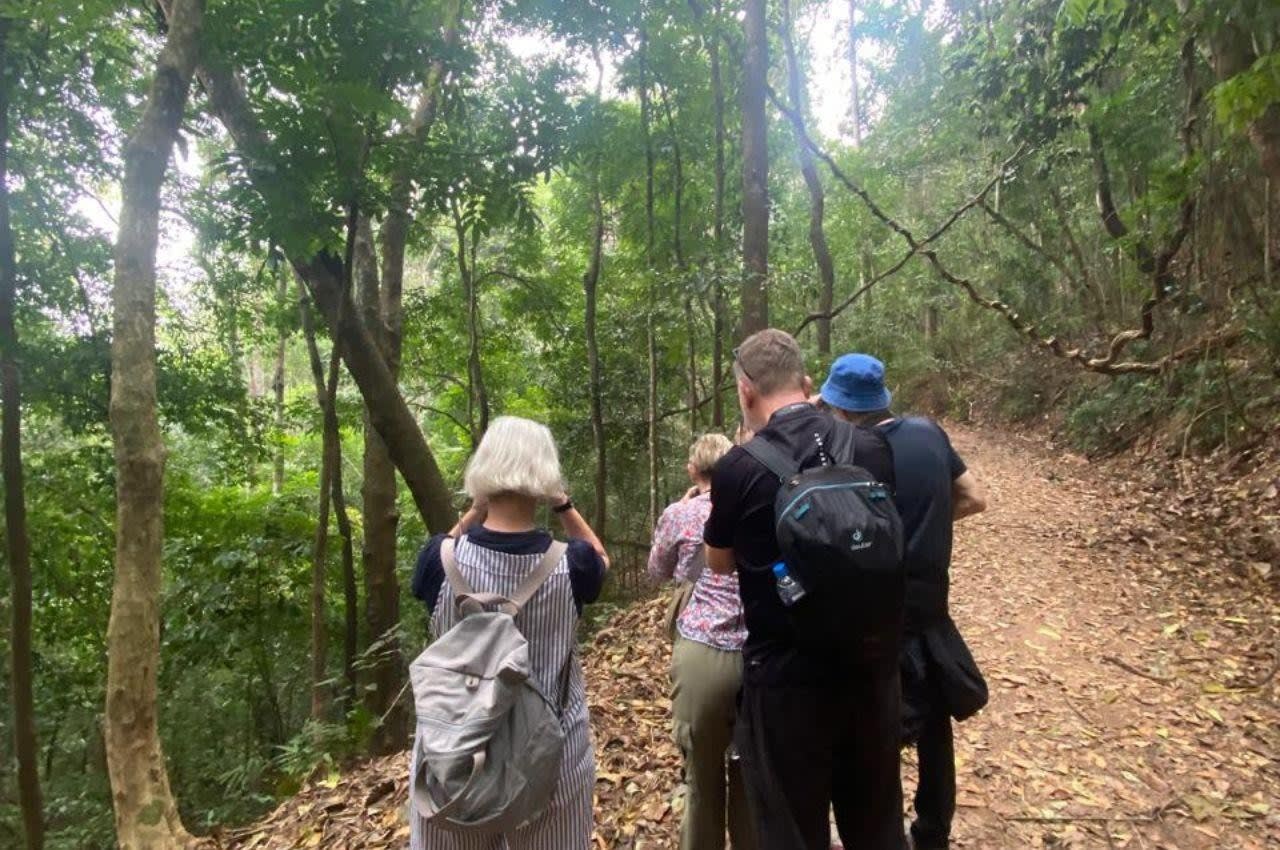 Udawattakele Bird Watching Morning from Kandy with a Guide — guided tour in Kandy
