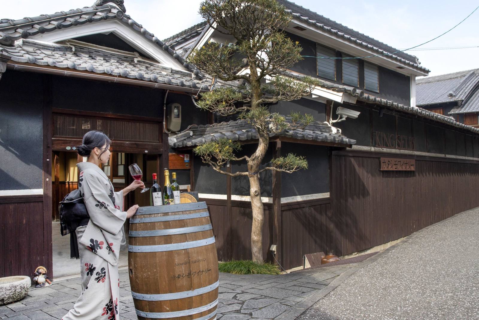 Japan's Oldest Western Winery: Tasting and a Vineyard Walk Outside Osaka — guided tour in Osaka