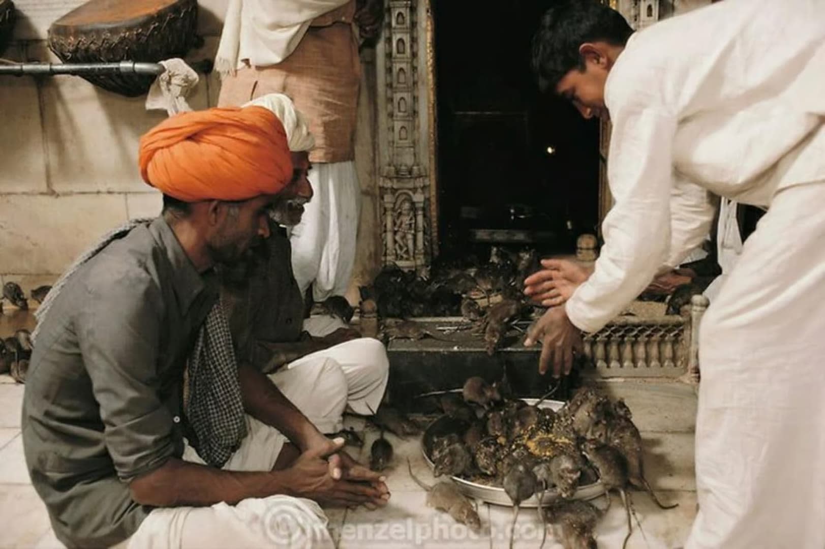 Bikaner Heritage Journey: Explore Junagarh Fort & Karni Mata Temple 2