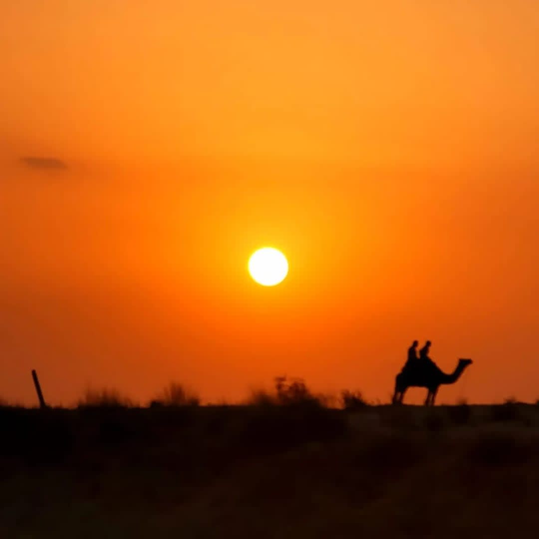 From Jodhpur : Enjoy Desert & Camel, Jeep Safari Tour 3