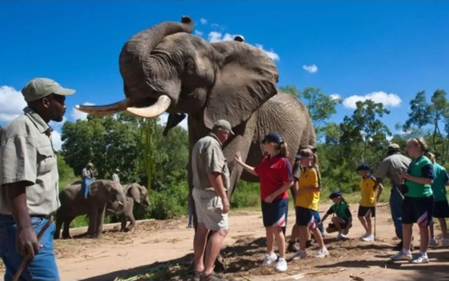 From Delhi: Sunrise Taj Mahal Tour With Elephant SOS — guided tour in Delhi
