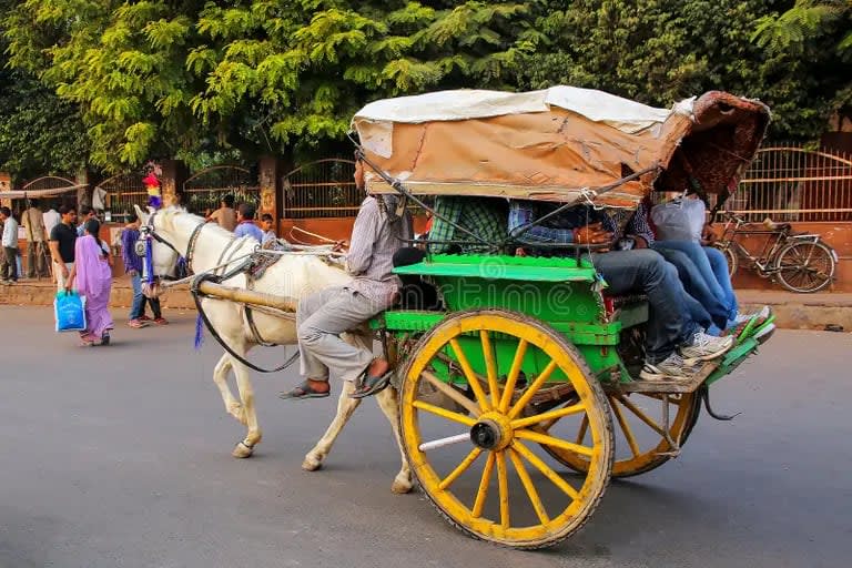 Agra: Street Food Walking Tour, Spice Market with Tuk-Tuk Ride 2