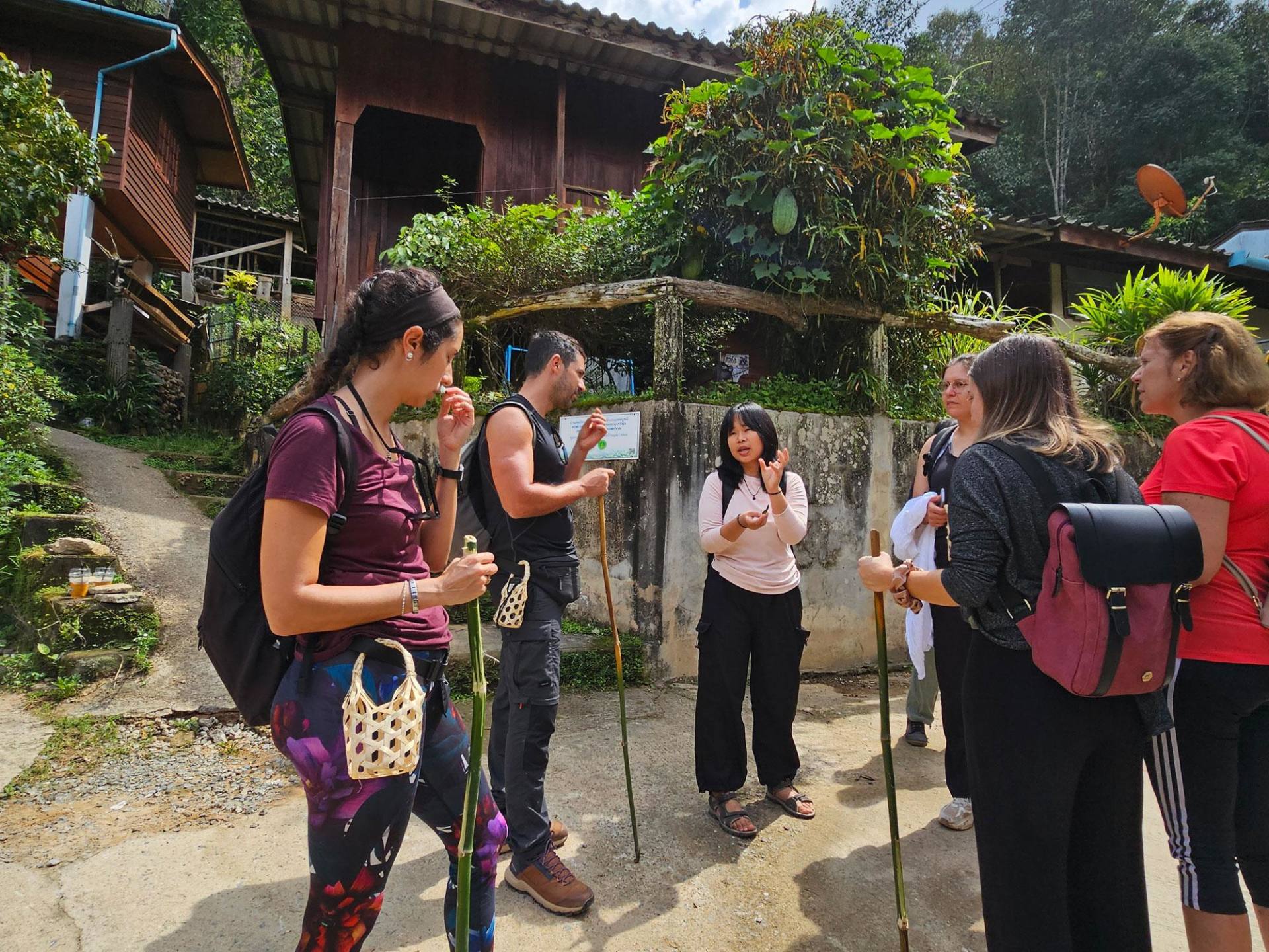 Chiang Mai: Gibbon Trek & Mae Kampong Village Small-Group Tour 3