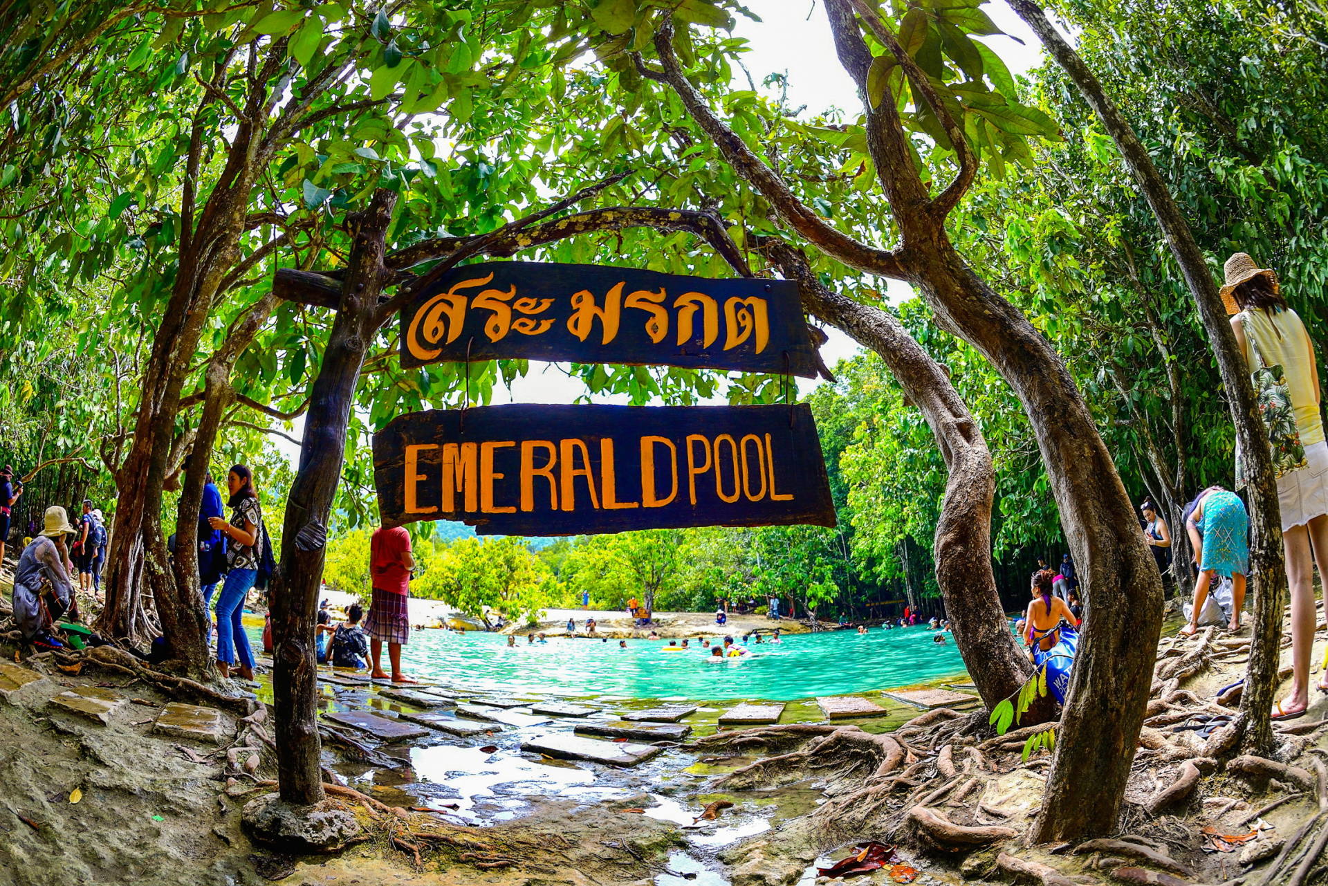 Emerald Pool, Hot Springs and Tiger Cave Temple Day Out 2