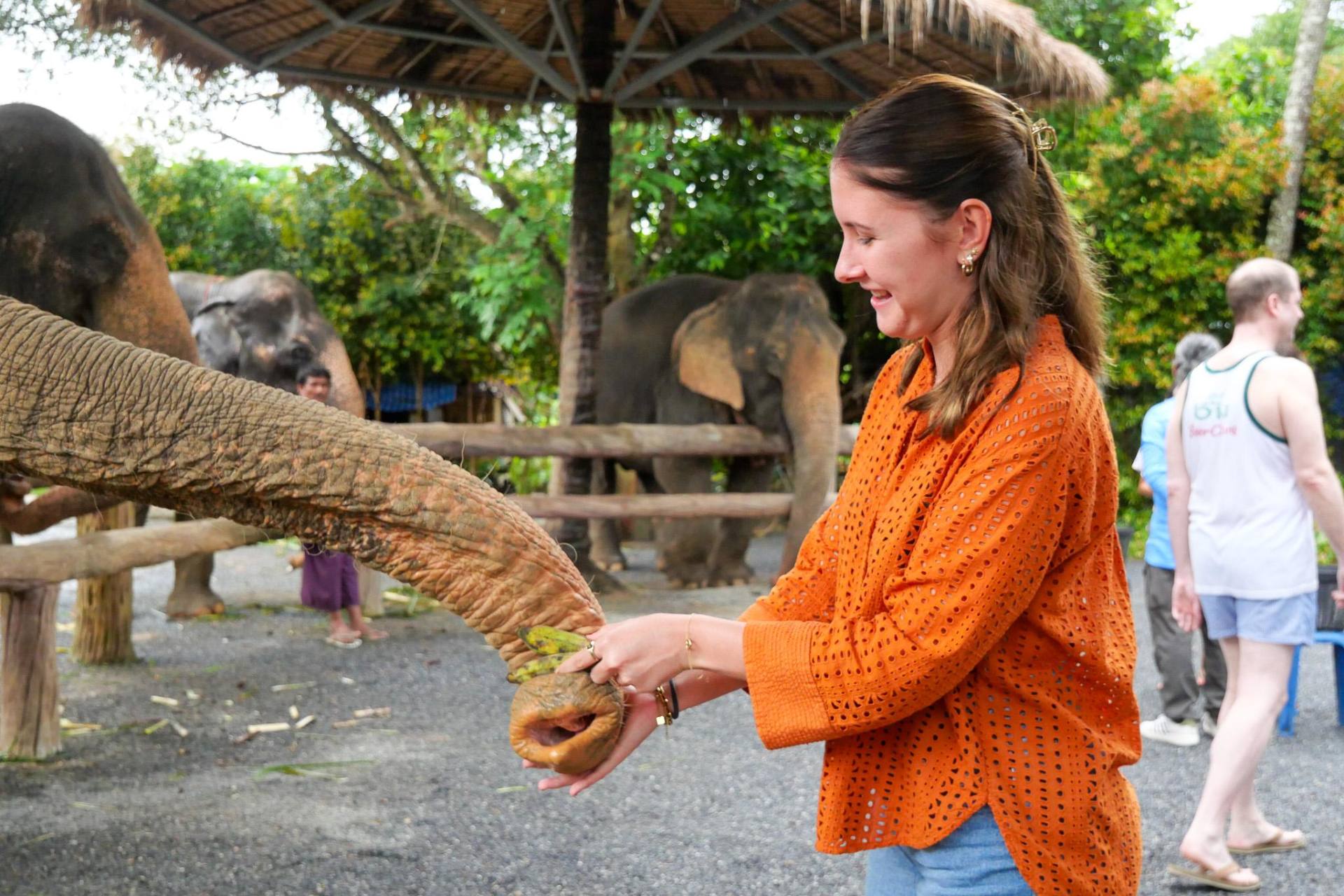 Ao Nang Elephant Sanctuary: Feed and Cook for Rescued Herds — guided tour in Krabi
