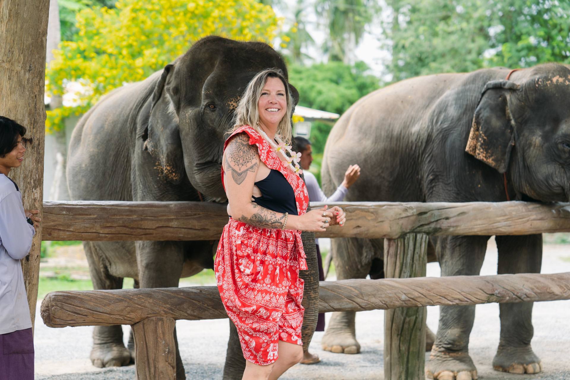Ao Nang Elephant Sanctuary: Feed and Cook for Rescued Herds 3