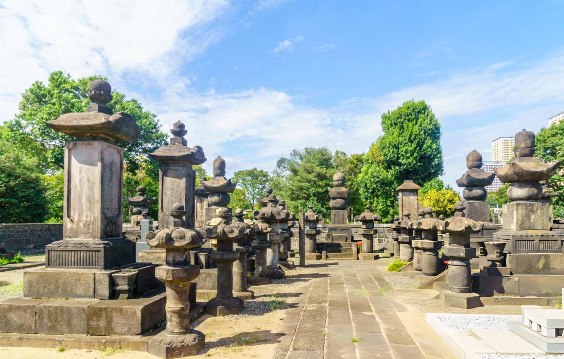 Tokyo in a Day: Asakusa, Yanaka, the Palace and Harajuku with a Local 2