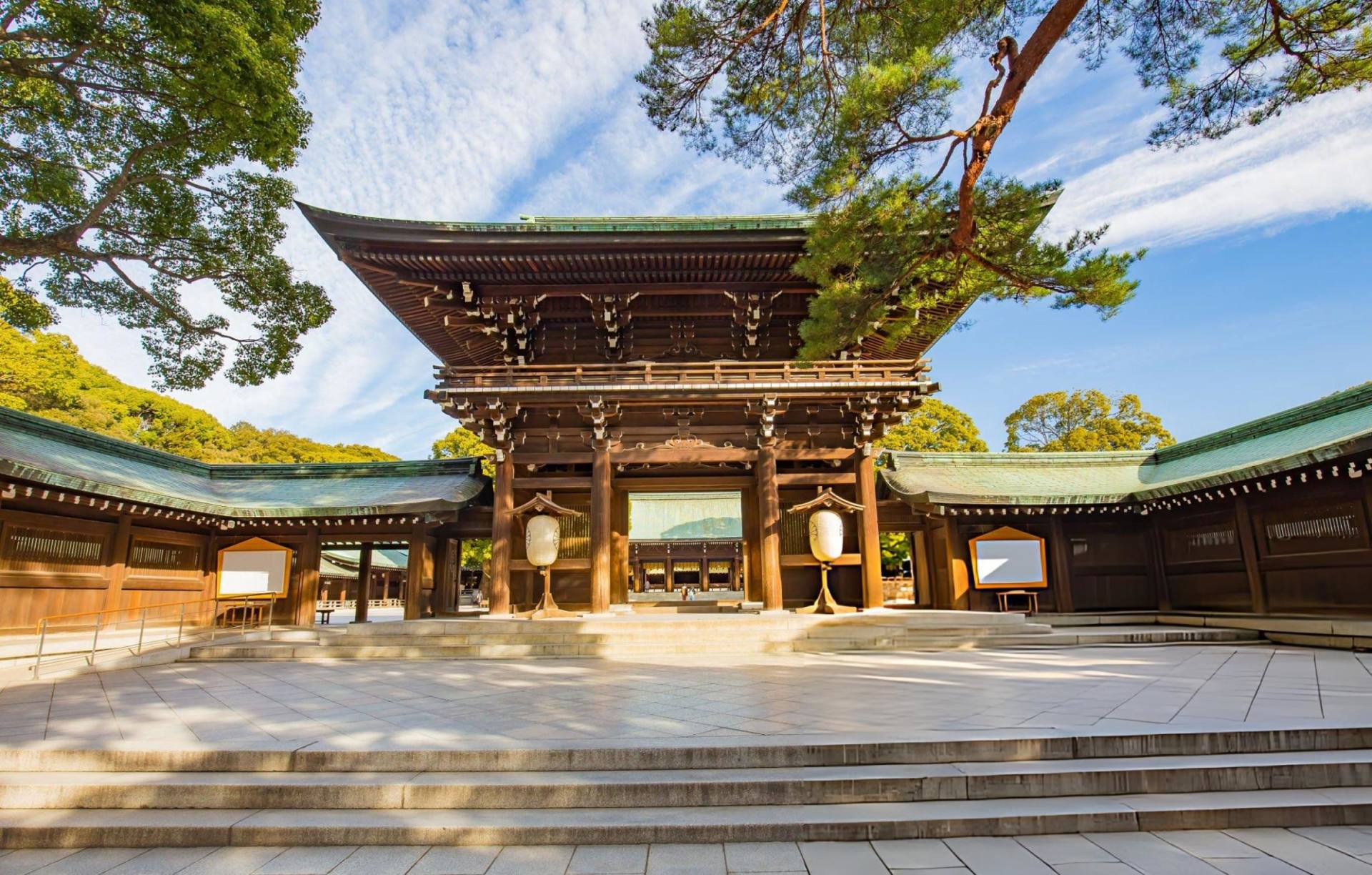 Tokyo Highlights in Half a Day with a Local Guide 2