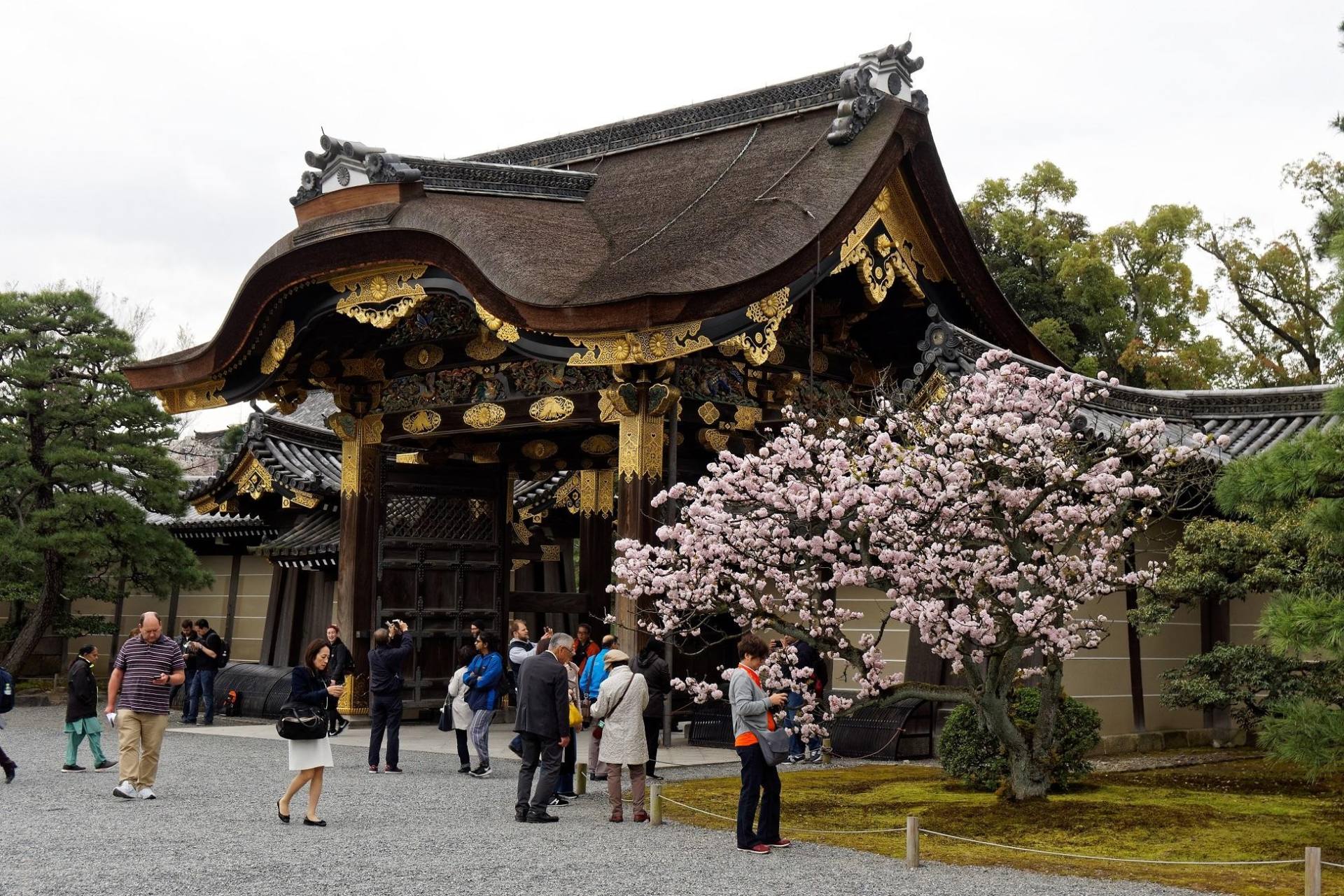 Kyoto: Imperial Palace & Nijo Castle Guided Walking Tour — guided tour in Kyoto