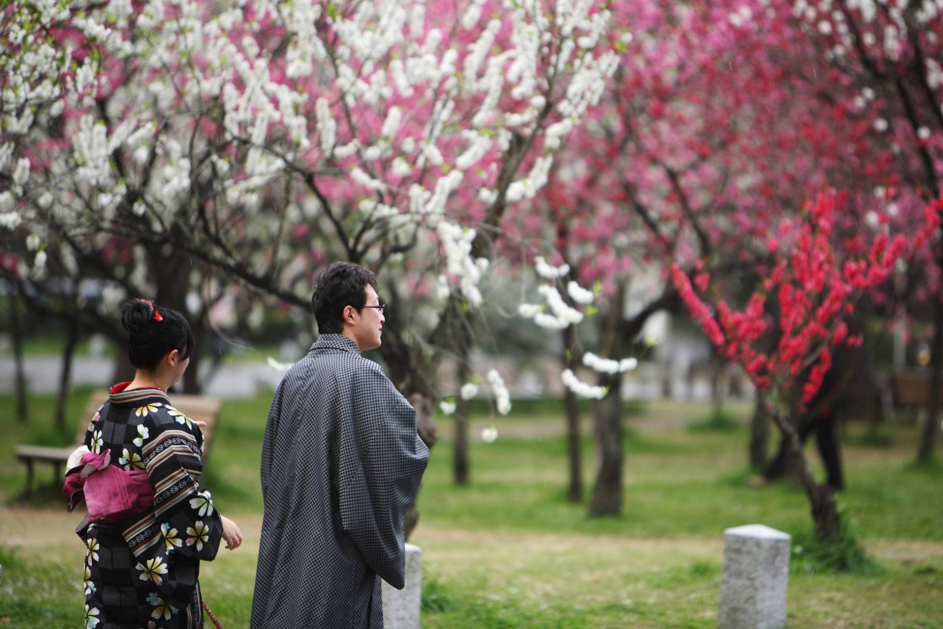 Kyoto: Imperial Palace & Nijo Castle Guided Walking Tour 2