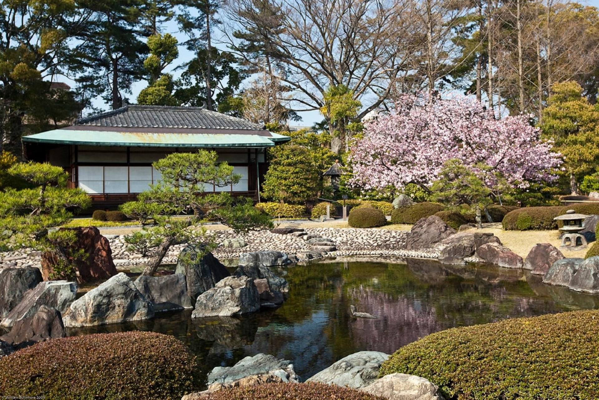 Kyoto: Imperial Palace & Nijo Castle Guided Walking Tour 3