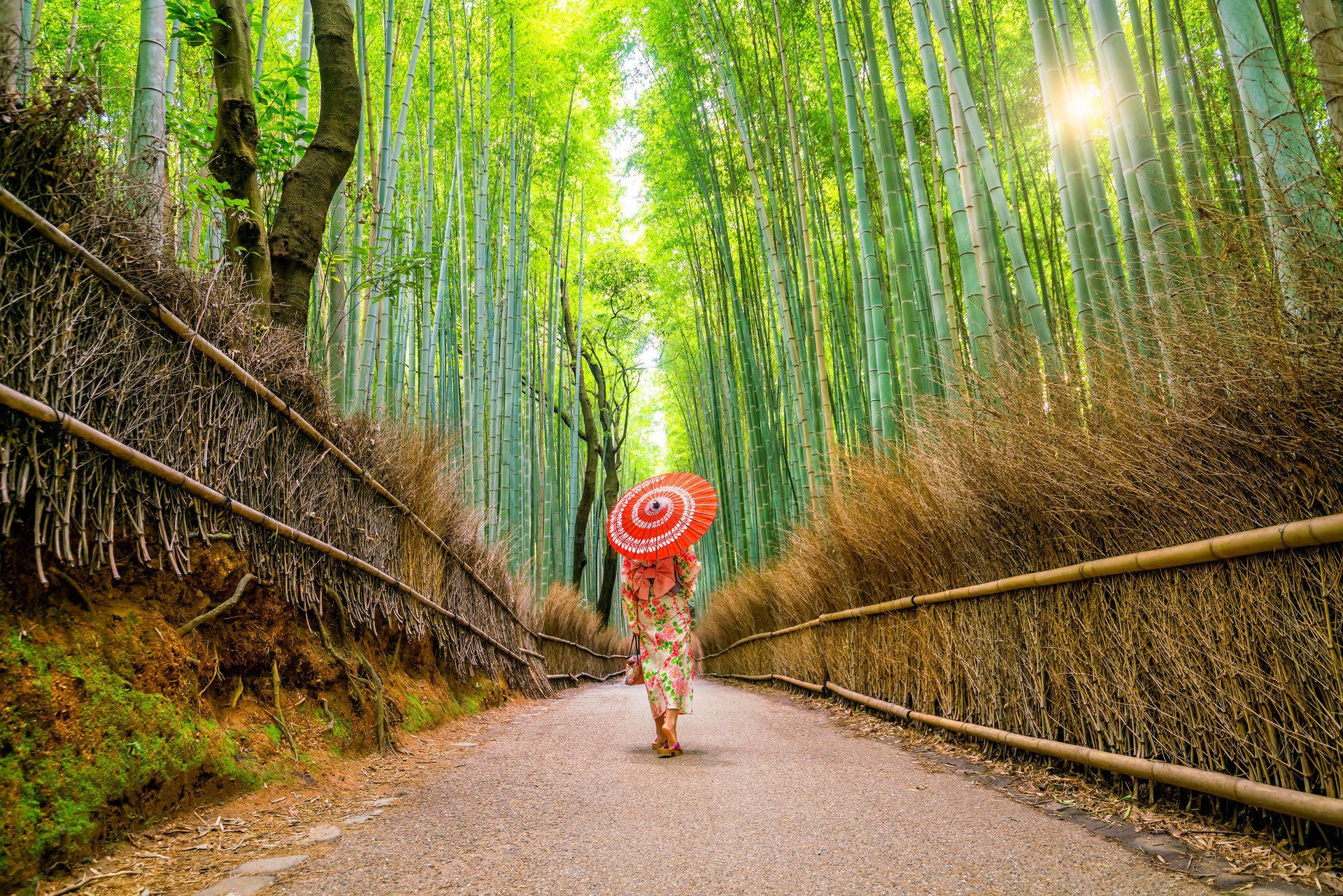 Design your KYOTO Custom Tour — guided tour in Kyoto