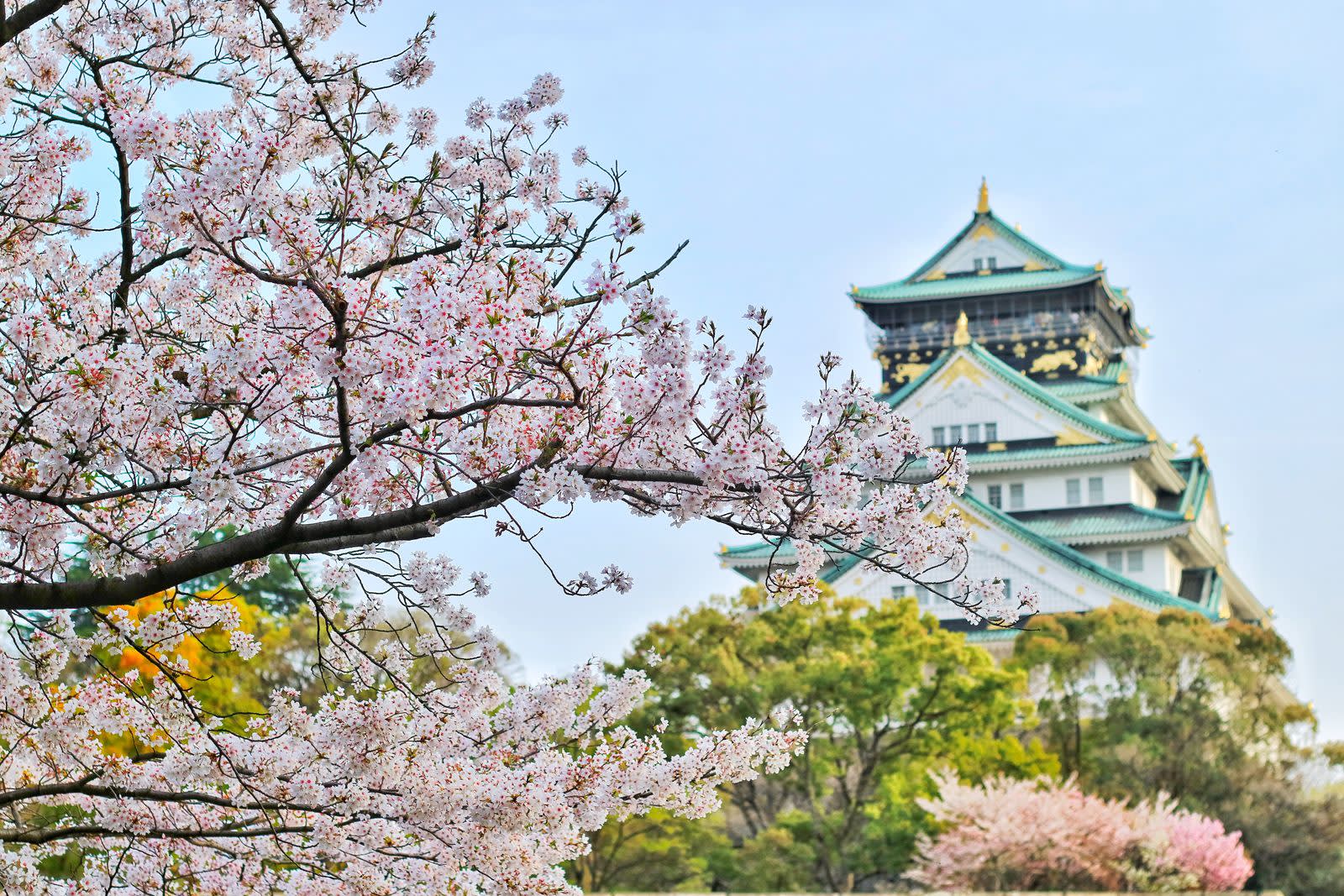 Kyoto Private Day Tour — guided tour in Kyoto