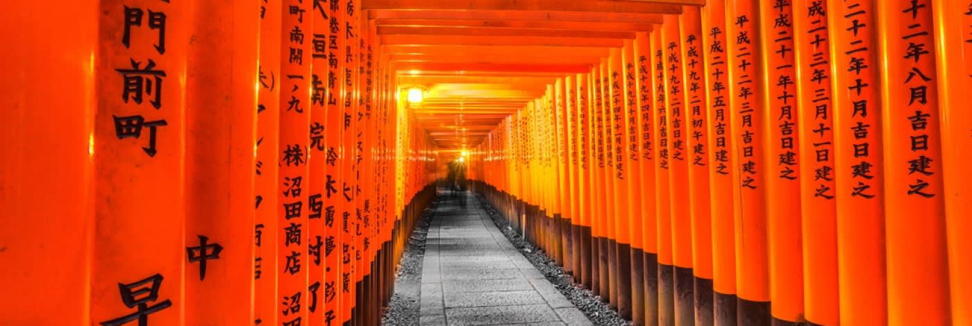 Fushimi Inari & Nara — guided tour in Kyoto