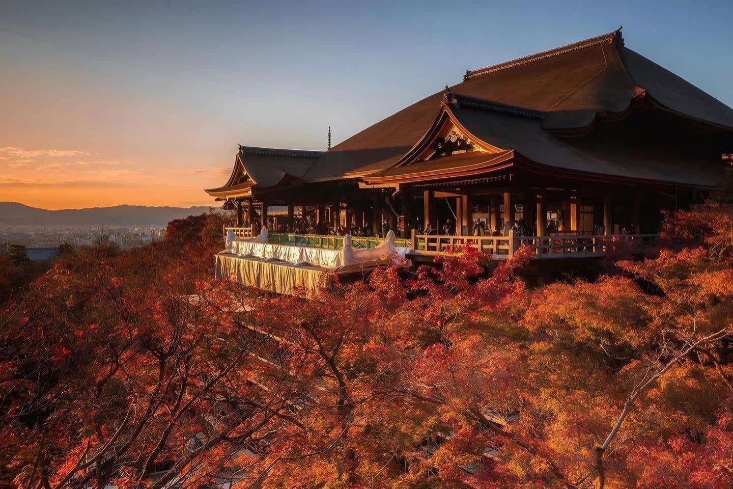 Kyoto Private Day Tour 3