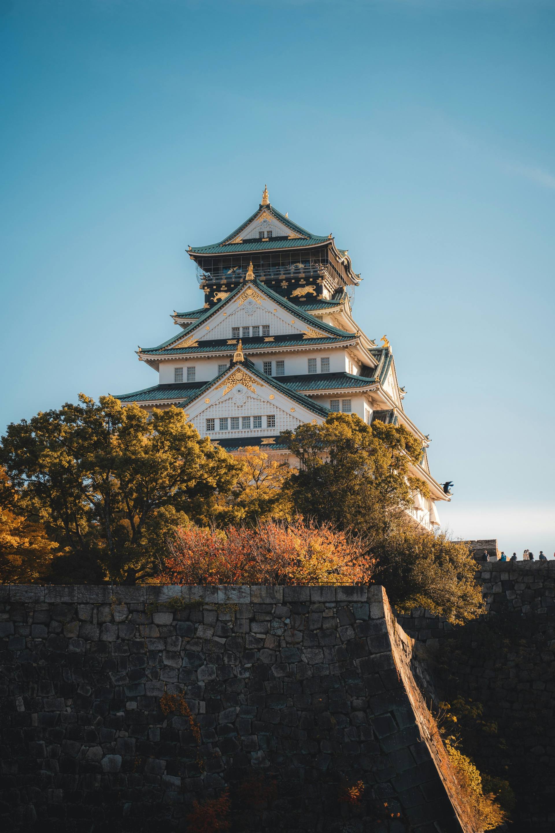 Osaka: Osaka Castle & Samurai History Tour w/ Entry Options — guided tour in Osaka