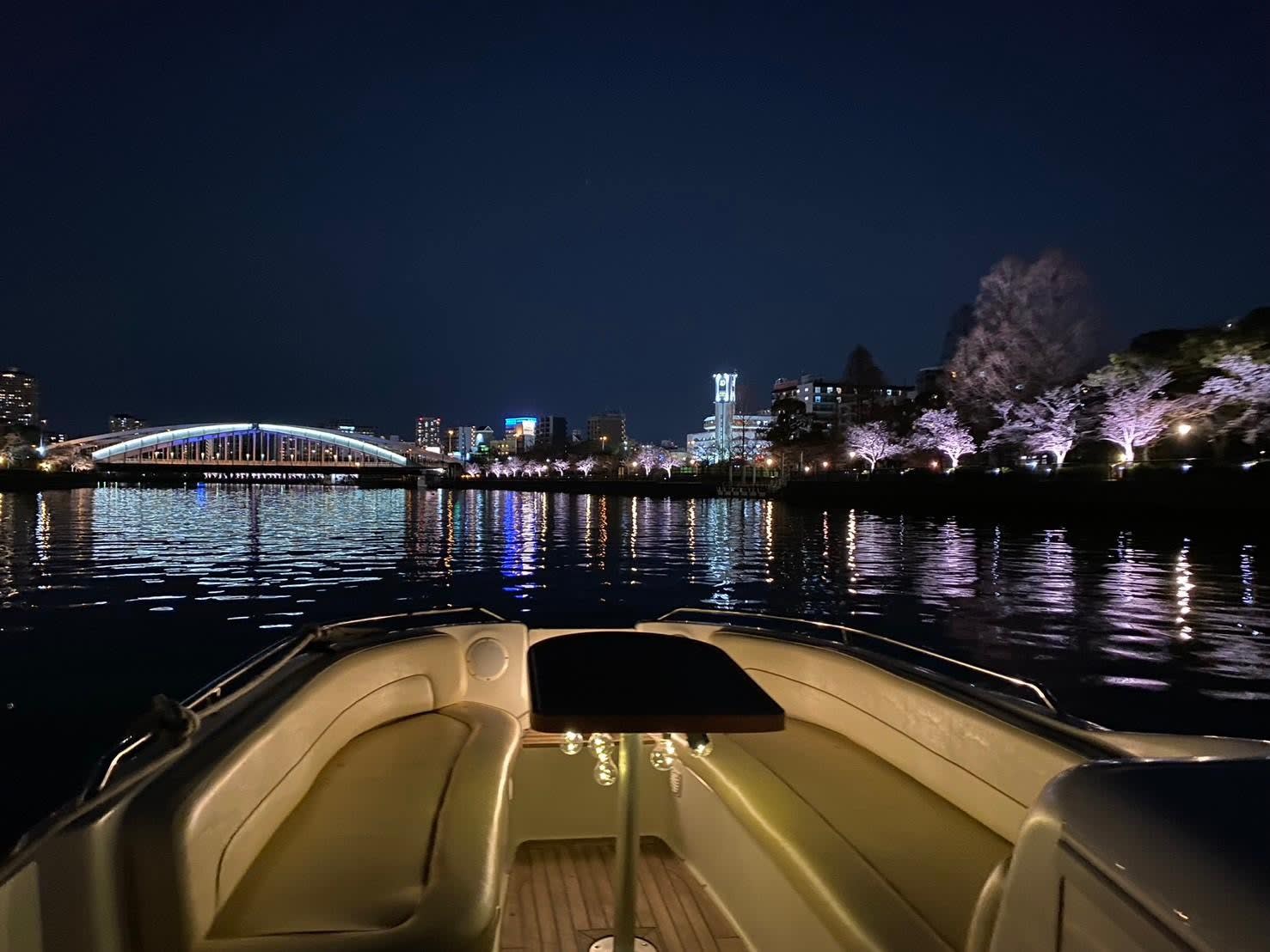 Osaka: Private Night Cruise Through the City of Water 3