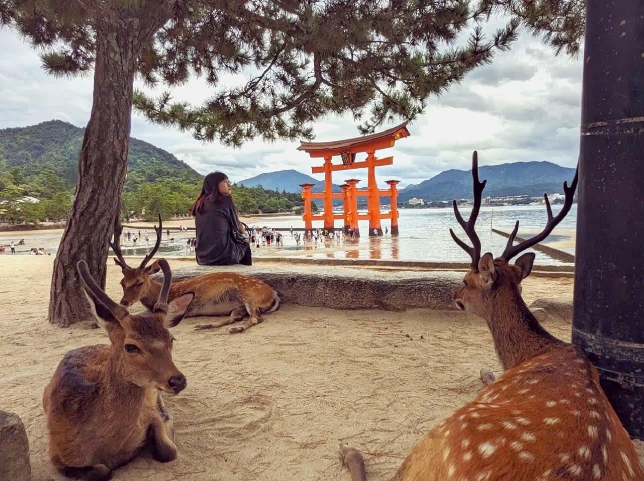 Miyajima Island Guided Tour: Itsukushima Shrine, Daisho-in & Henjo Cave 3