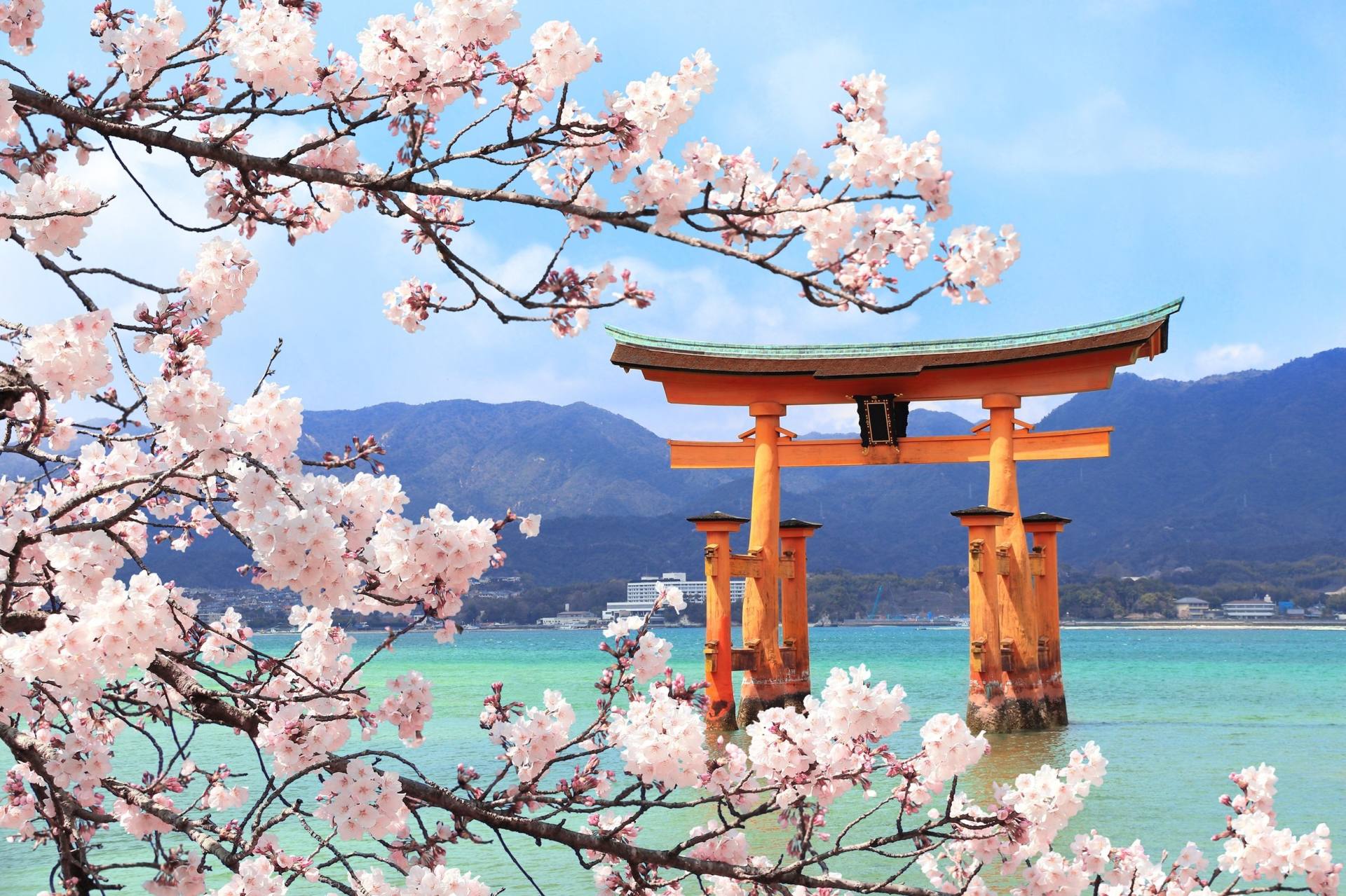 Hiroshima & Miyajima Classic Day Tour: History and Island Serenity — guided tour in Hiroshima