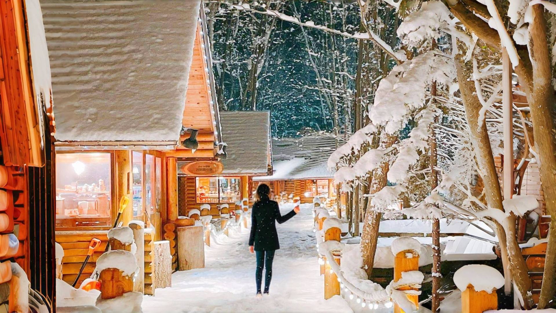Hokkaido Day Trip from Sapporo: Asahiyama Zoo, Blue Pond & Shirahige Falls — guided tour in Sapporo