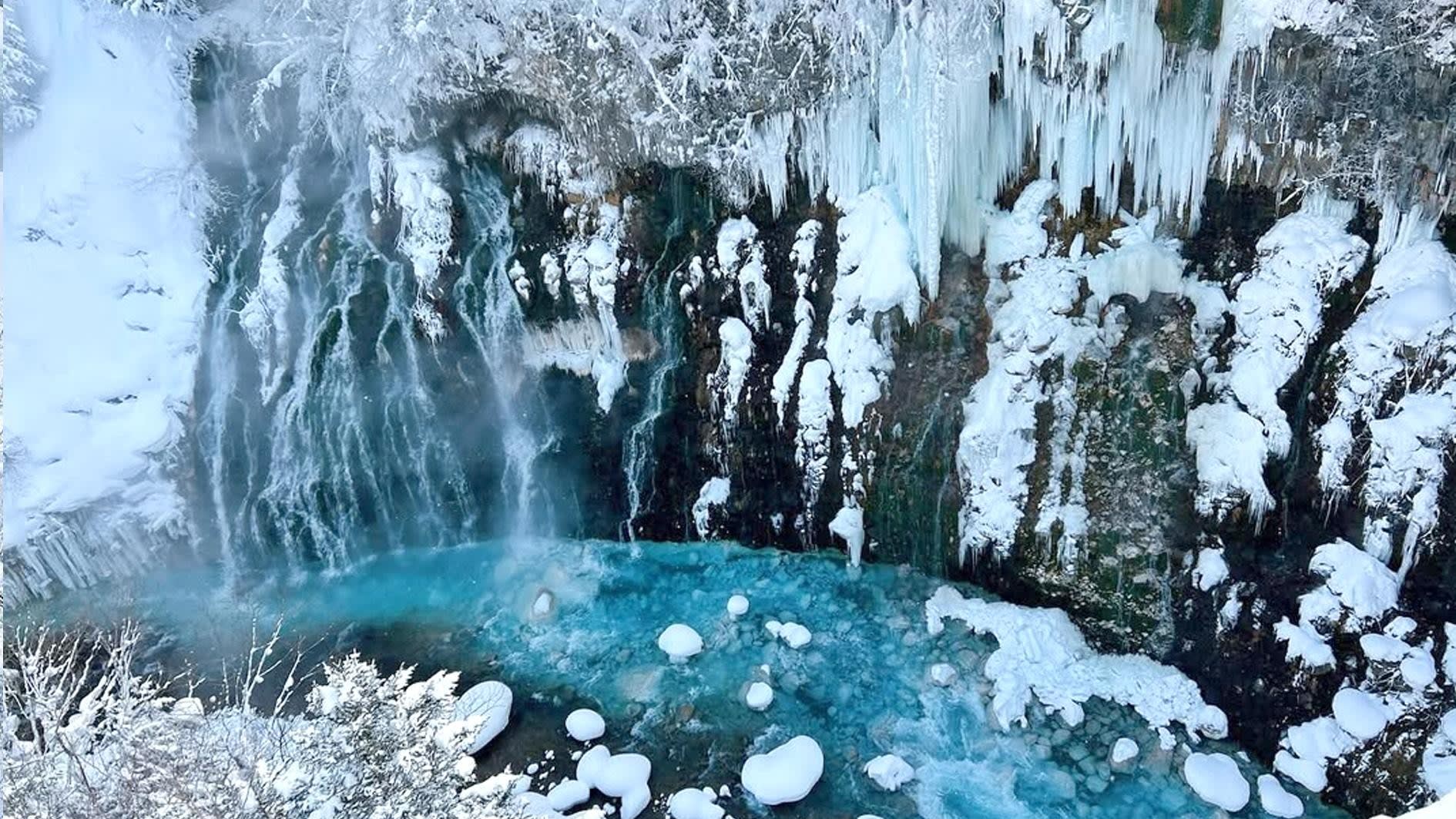 Hokkaido Day Trip from Sapporo: Asahiyama Zoo, Blue Pond & Shirahige Falls 2