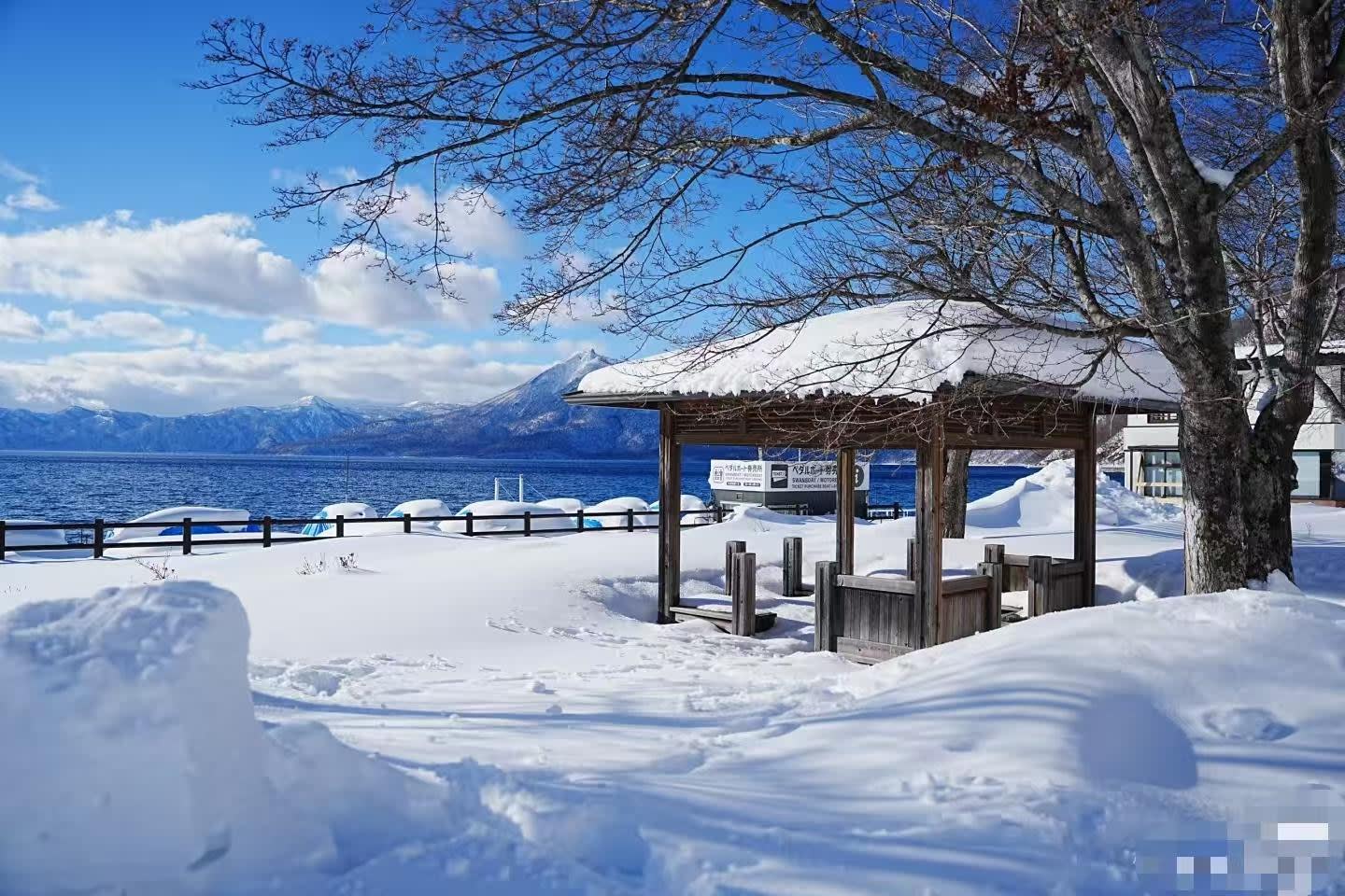 Lake Shikotsu and Jozankei: Small-Group Spring and Summer Escape — guided tour in Sapporo
