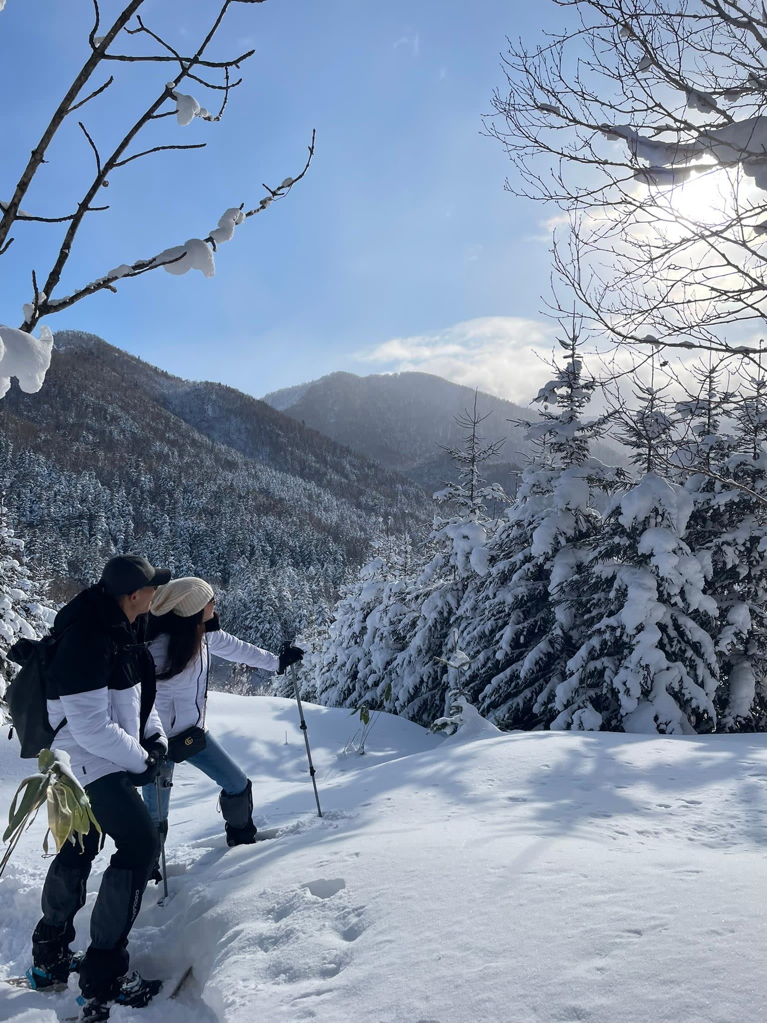 Snowshoe Trek and Onsen Soak in Shikotsu-Toya National Park 2