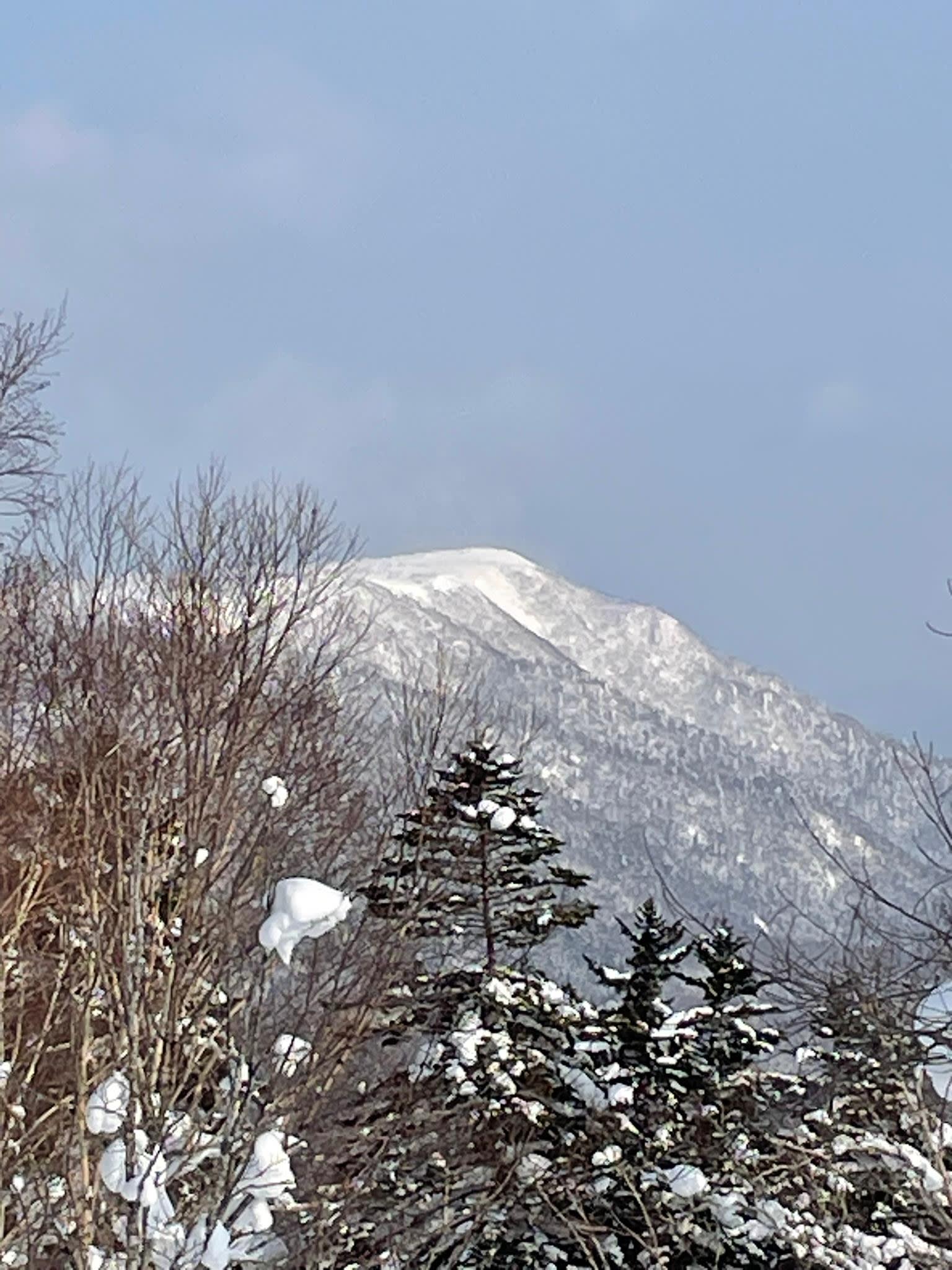 Snowshoe Trek and Onsen Soak in Shikotsu-Toya National Park 3