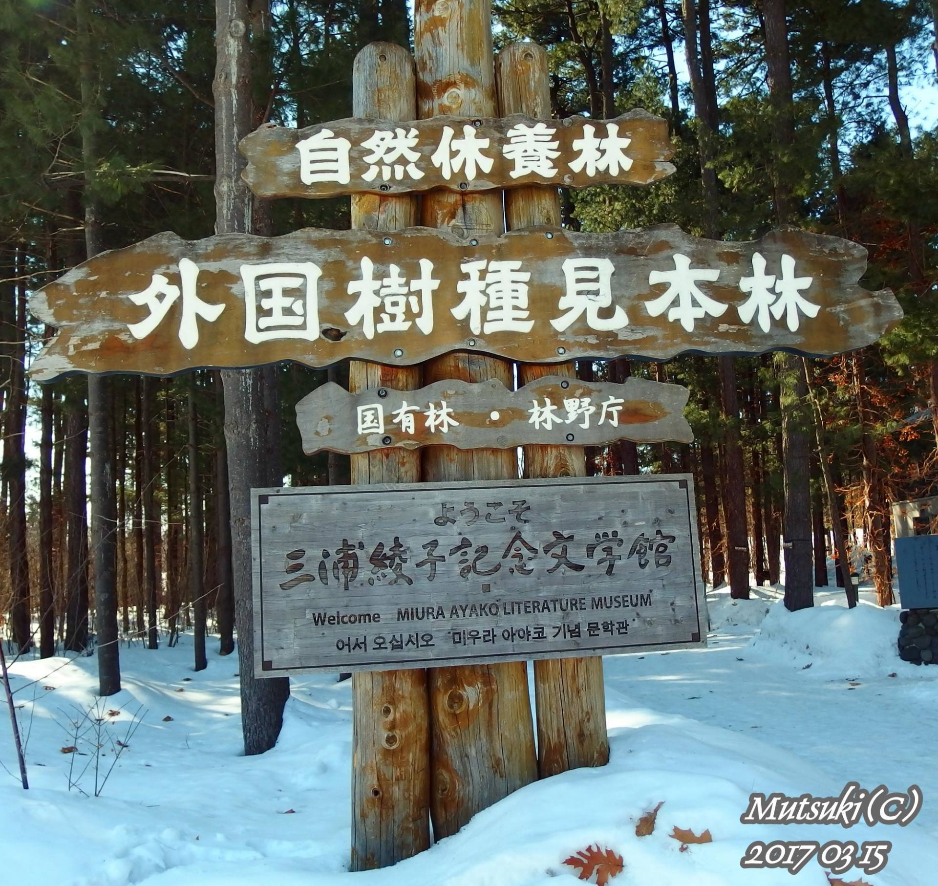 Asahikawa, Biei and Furano: Small-Group Winter Day Tour from Sapporo 3