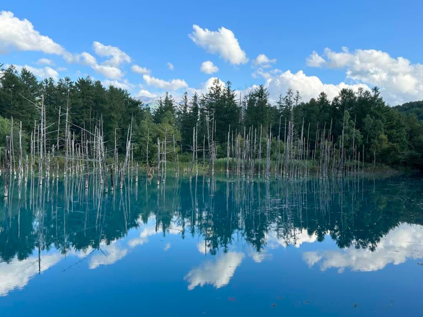 Furano Lavender and Biei's Blue Pond: Two-Day Hokkaido Summer Tour — guided tour in Sapporo