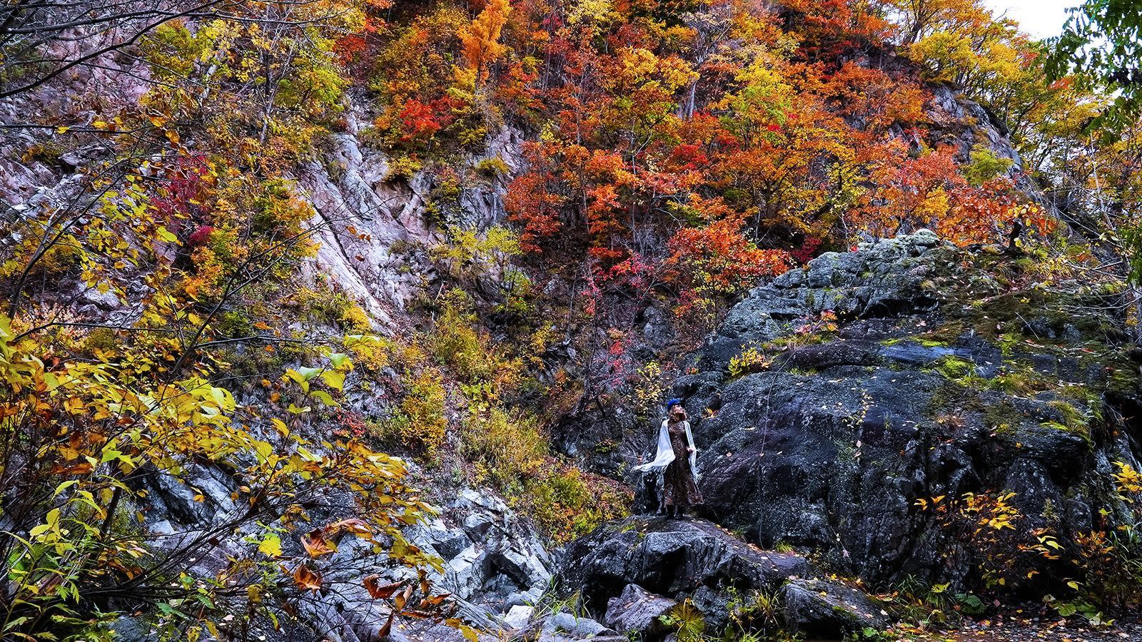 Hoheikyo Dam and Jozankei: Autumn Colours, Buffet Lunch and Outlet Shopping 2