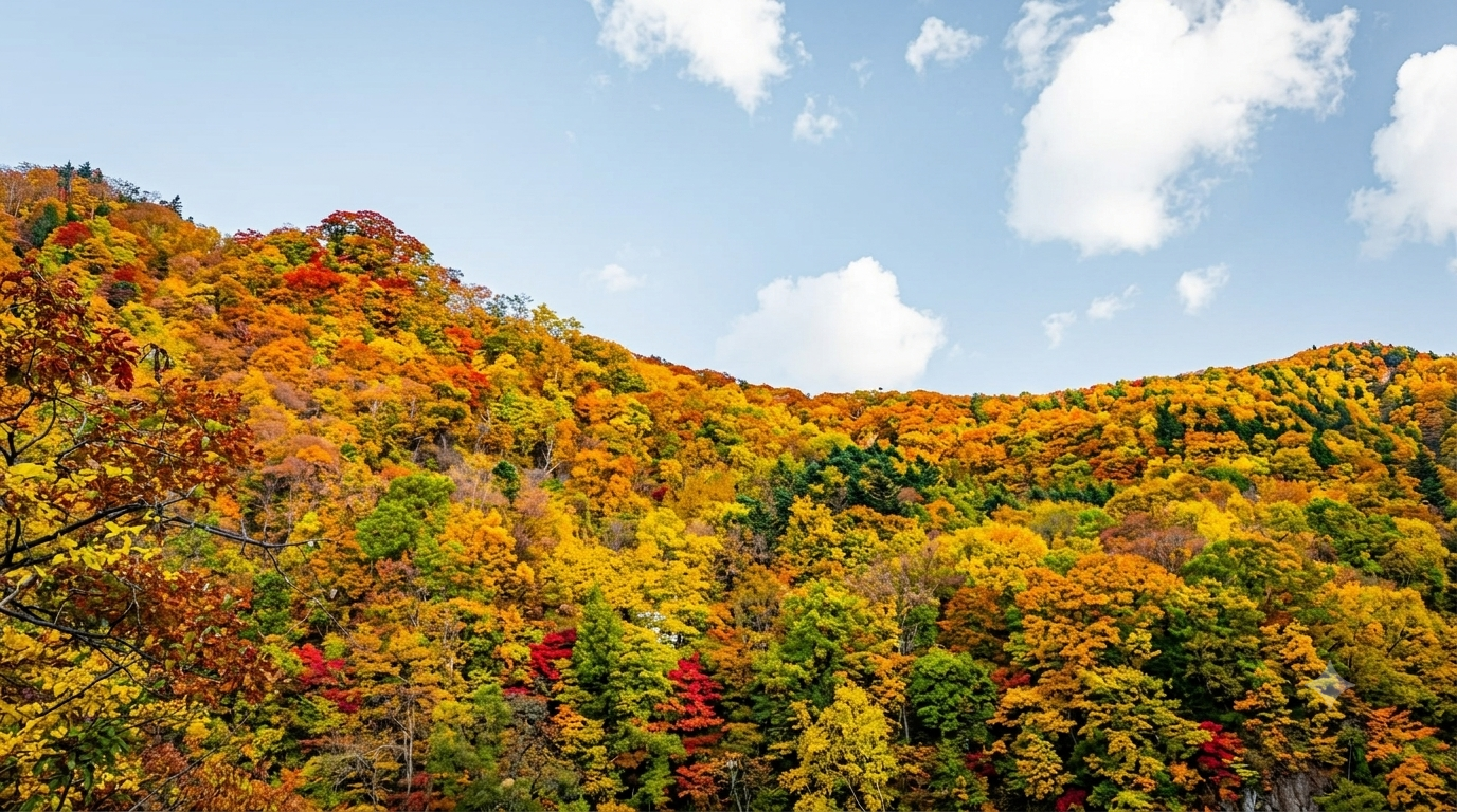 Hoheikyo Dam and Jozankei: Autumn Colours, Buffet Lunch and Outlet Shopping 3