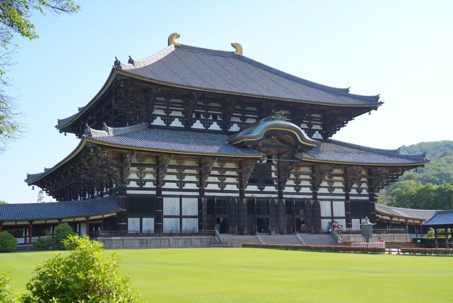 Nara Early Morning Deer Park & Todai-ji Walk (Beat the Crowds) 2